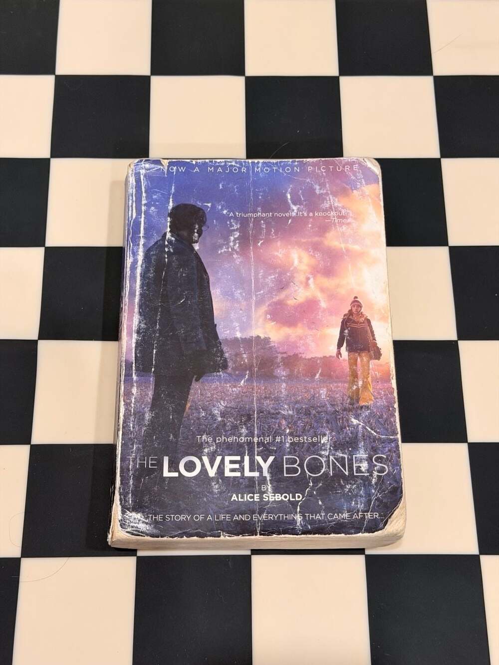 The Lovely Bones by Alice Sebold Paperback Novel